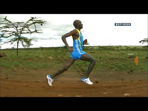 Técnica Perfeita, Treinamento Keniano.