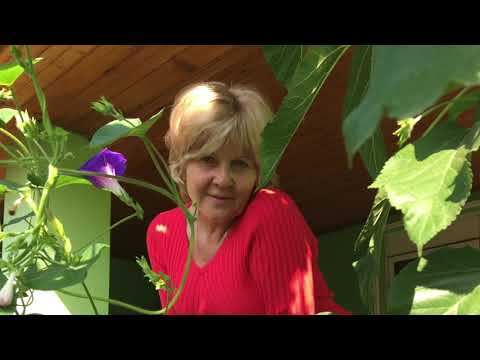 Julija Bisak - SUNCOKRETU