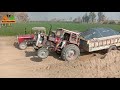 Welldone Performance Messi Ferguson 265 With Fully Loaded Trolley Tractor Stunt Video