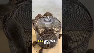 Download lagu Jebakan tikus dari tutup kipas angin mp3