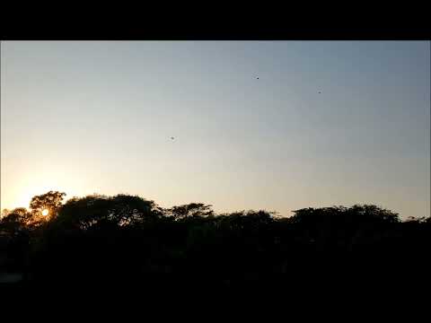 Modern Jazz Quartet, Chicago (1985)