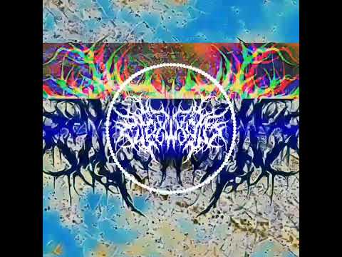 Sektu - RYNEX (V.1)