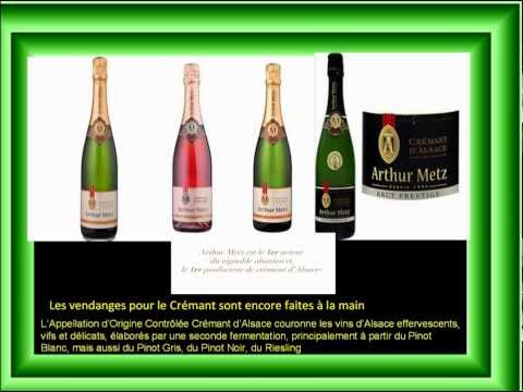 comment participer aux vendanges