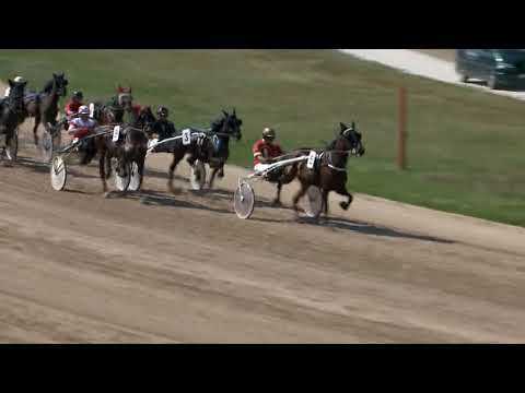 2018.04.28. 3 futam Ügető