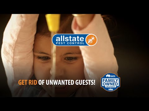 Allstate Pest Control video.