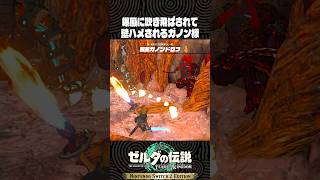 爆風に吹き飛ばされて壁ハメされるガノンおじさん【ゼルダの伝説 ティアキン】