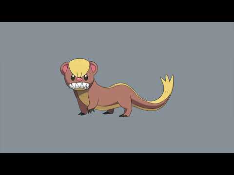 Yungoos's cry - Pokèmon