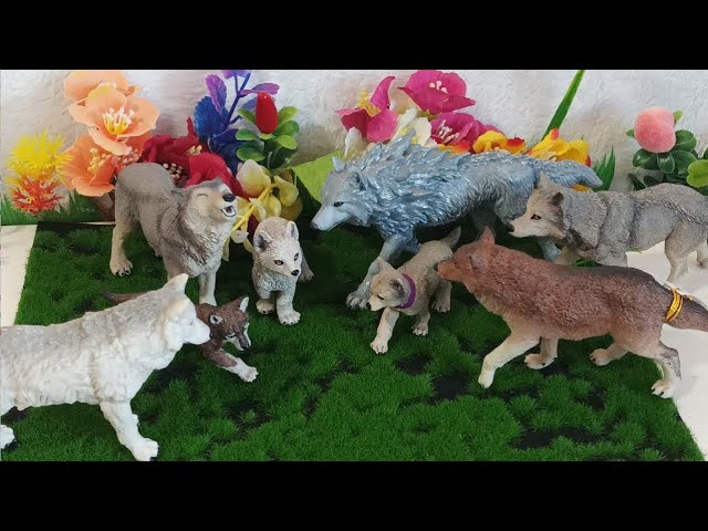 Vídeo relacionado con Papo Figura Realista de Lobo Mutante Juguete, Colección Fantasía, Niños 3+