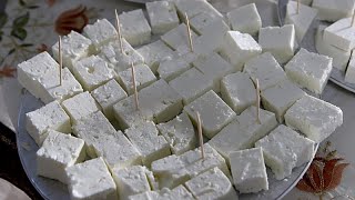 600.000 Schafe getötet: Griechenlands Feta-Produktion durch Schafpocken ernsthaft bedroht