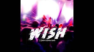 Toby Keith- Wish I Didn&#39;t Know Now