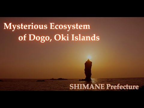 “Mysterious Ecosystem of Dogo, Oki Islands”        SHIMANE Prefecture