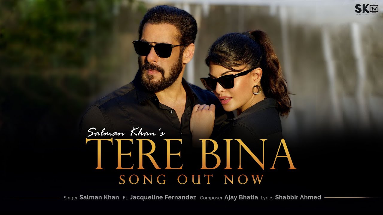 Tere Bina| Salman Khan Lyrics