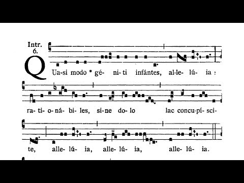 Dominica in Albis (Divine Mercy Sunday, Low Sunday) - Introitus (Quasi modo)