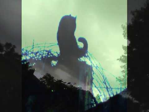 Truth Doesnt Make A Noise video