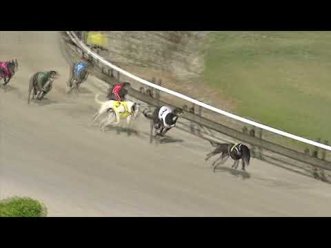 Albion-Park-11112018-Race-8