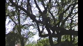 Rope Swingers at Elm Creek - Abilene, TX - Summer 1996