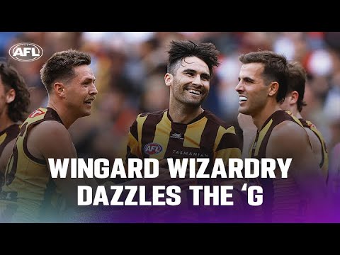 Vintage Wingard takes out round one Goal of the Year nomination