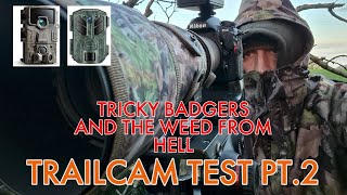 TRAILCAM TEST PART 2 - INVASIVE WOODLAND WEED - SHY BADGERS