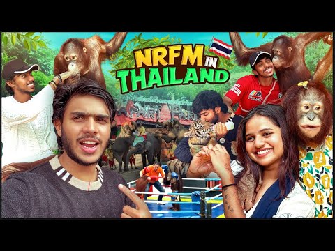 Thailand குரங்கு romba மோசம் pa 😅🐒 Fun in Safari world 🌴🦁🐯 | NRFM-VOICE 