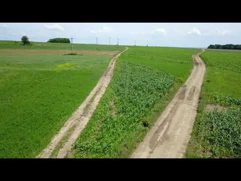 Dinga dupa ploaie 24 iunie 2020