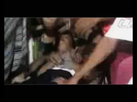 shamrool feat r yaz & ziko rai   ghazza