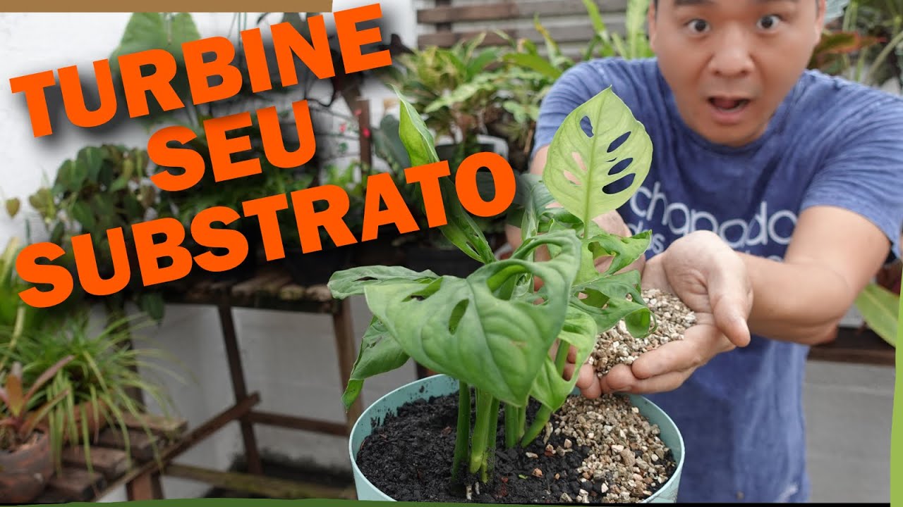 ADITIVOS E MELHORADORES para o SUBSTRATO Perfeito