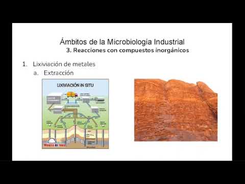 1.1.a. Ambitos de aplicación de la Microbiolgía Industrial