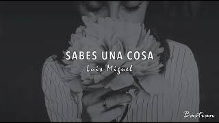 Luis Miguel - Sabes Una Cosa (Letra) ♡