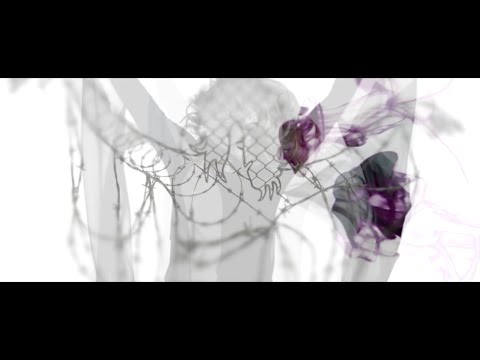 Jarmila Xymena Gorna - Silver Bird (Official Music Video)