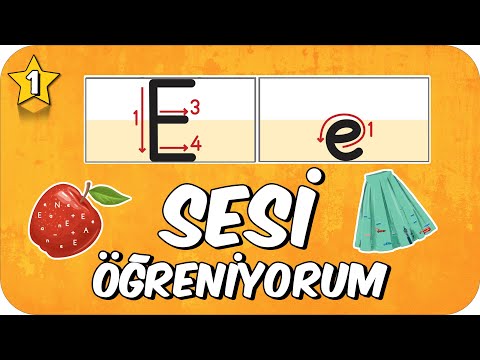 E Sesi Öğretimi 🍎 Okunuşu ve Yazılışı 🏠 1.Sınıf #2024