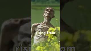 Is Cillian Murphy In 28 Years Later?