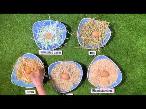 Top 5 Bedding Products for Chickens!