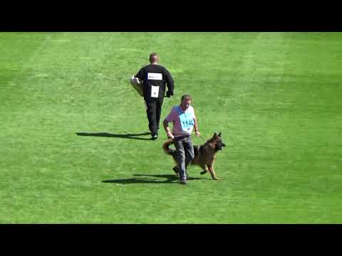 2021 SV BSZS TSB 1140 V2 Youles von Aducht