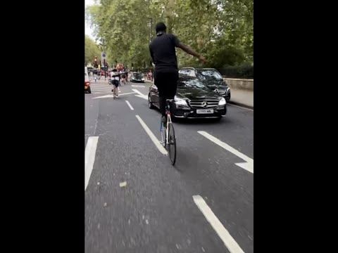 The Great Alleycat of London 2023