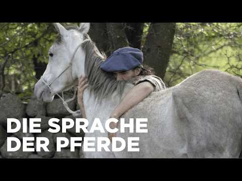 Argentinien: Von wilden Pferden und sanfter Hand | 360° Reportage Reupload | ARTE Fernweh