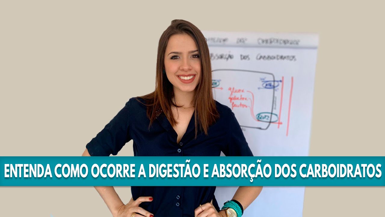 Entenda como ocorre a digestão e absorção dos carboidratos - Por Rafaela Silvério
