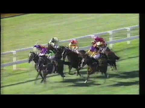 1990 Doomben Classic - Rough Habit vs Stylish Century