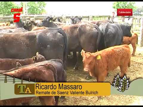 RICARDO MASSARO  REMATE DE SAENZ VALIENTE BULRICH