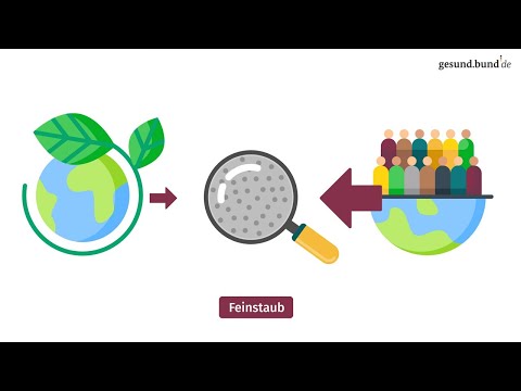 Warum ist Feinstaub ein Gesundheitsrisiko?