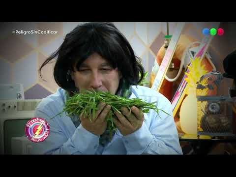 El cachador y un cliente muy especial  - Peligro Sin Codificar 2019