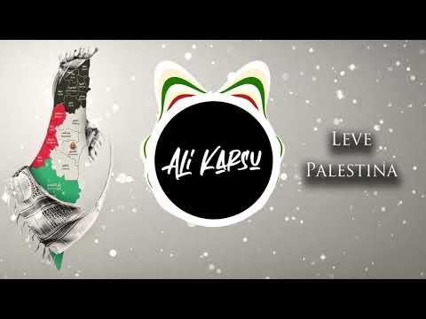 Leve Palestina Remix (DJ Ali Karsu) | تحيا فلسطين ريمكس