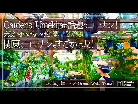 フォレストクレーンズビル 植物