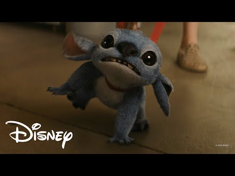 [릴로 & 스티치] '첫 만남은 너무 어려워'