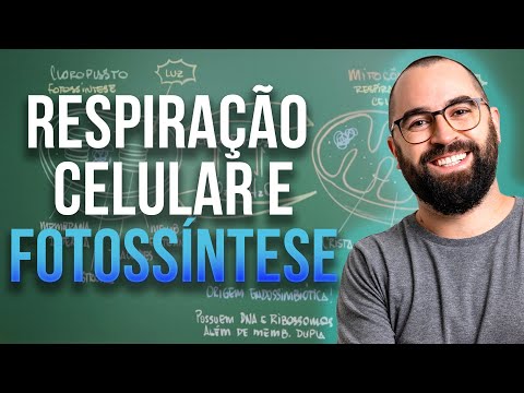 Respiração celular x Fotossíntese (Mitocôndria e Cloroplasto) - Aula 24 - Módulo 1: Biologia Celular