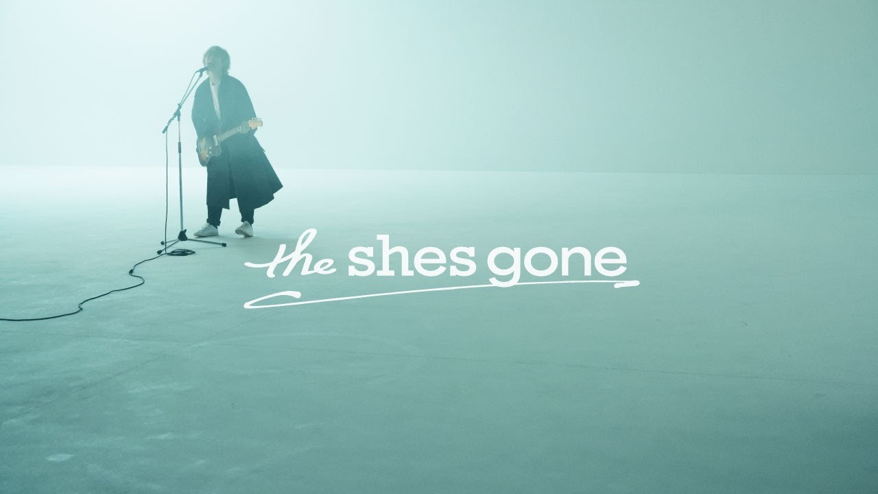エイド / the shes gone