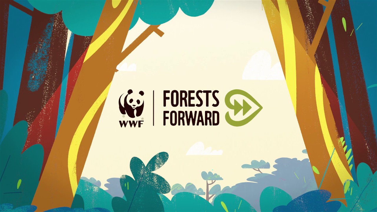 Forests Forward Introduction