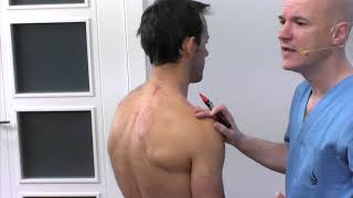 Mal funcionamiento del hígado - Problemas  musculares que  provocan. Fisioterapia Logroño