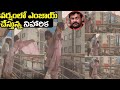 వర్షం లో ఎంజాయ్ చేస్తున్న నిహారిక Niharika