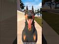This Dog Wouldn T Bite Anyone SFM Shorts