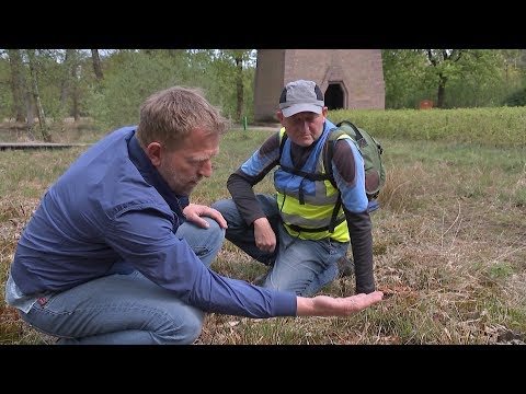 De Hoge Veluwe | BuitenGewoon 12 mei 2018